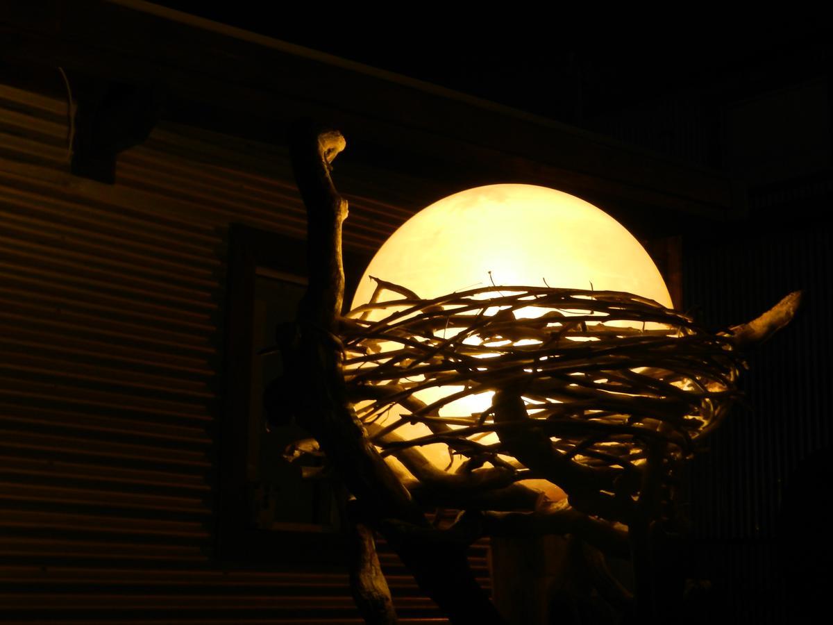 Nido De Luna El Calafate Kültér fotó